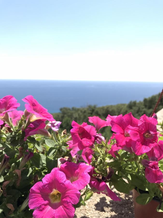 גאליאנו דל קאפו Il Terrazzo - Galatea Casa Vacanze מראה חיצוני תמונה